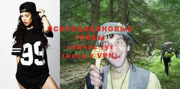трава Бронницы